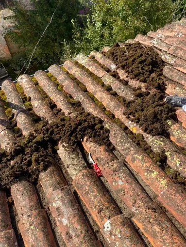 Prix et tarif d'un nettoyage et démoussage de toiture à Toulouse, Toulouse, Les Toits Roses