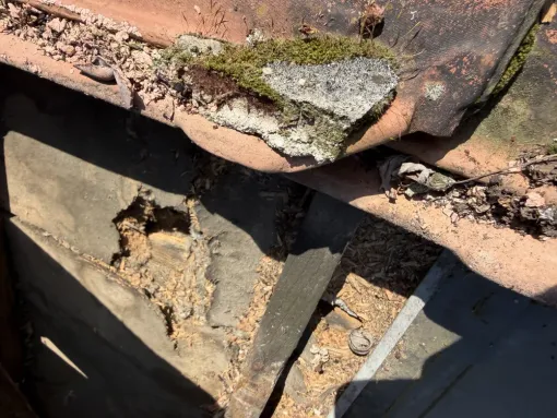 Détection de fuite urgente toulouse, Toulouse, Les Toits Roses