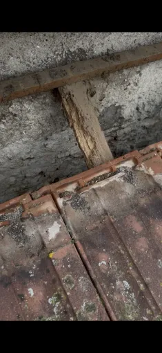 Entreprise de vérification de toiture à Toulouse 31, Toulouse, Les Toits Roses