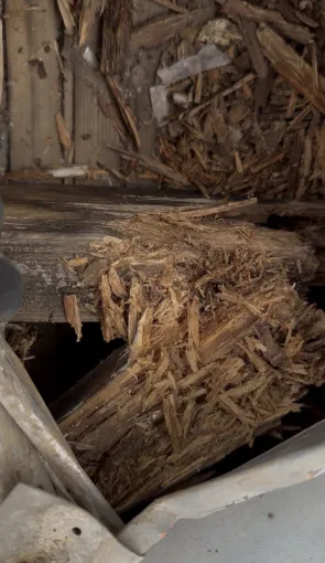 Détection fuite toiture urgence à toulouse, Toulouse, Les Toits Roses