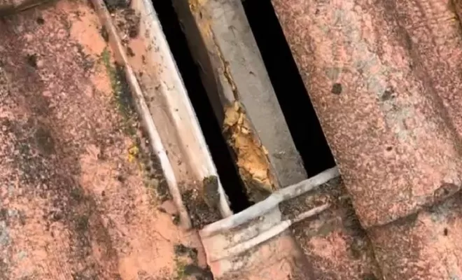 Couverture, Toulouse, Les Toits Roses