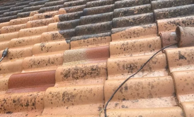 Couverture, Toulouse, Les Toits Roses